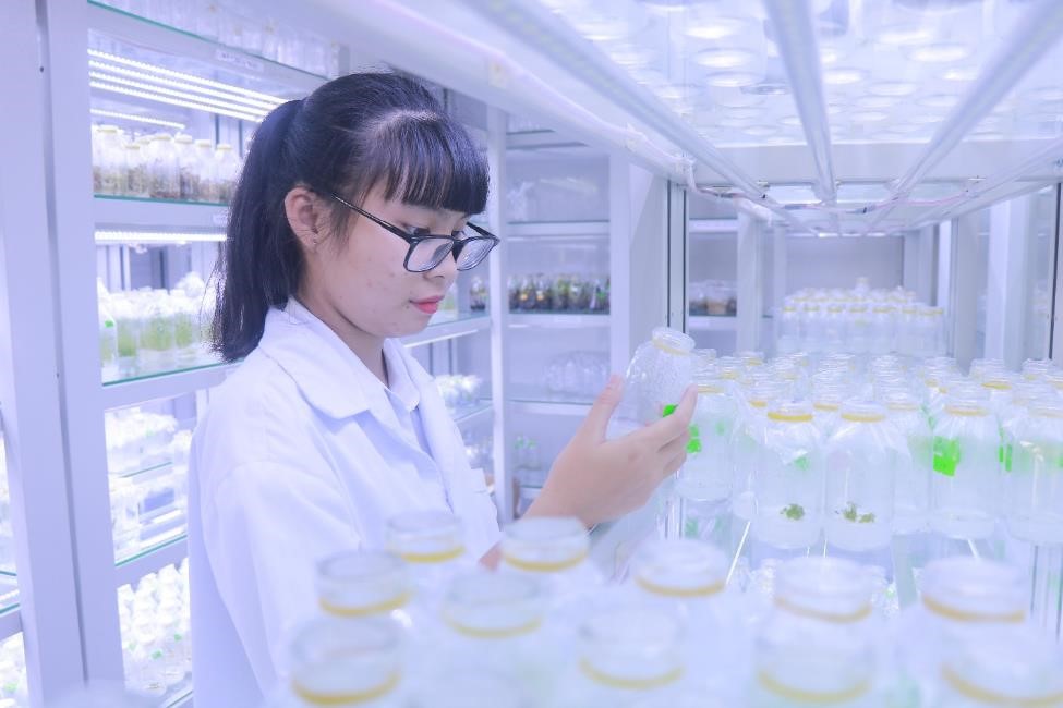 Sinh viên ngành Công nghệ sinh học HUFI thực hành trong phòng thí nghiệm Công nghệ tế bào